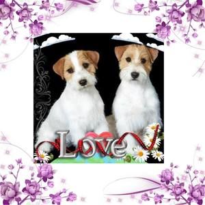 Meet your Posher, Kathryn lissa